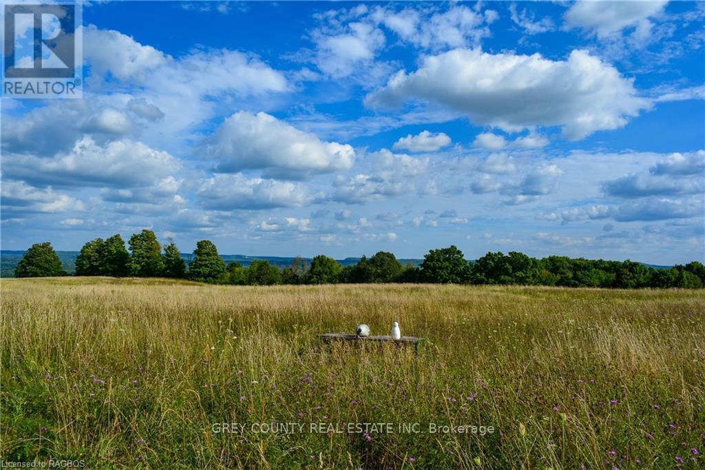 Na 3rd Line C, Grey Highlands, Ontario  N0H 1N0 - Photo 9 - X10846232