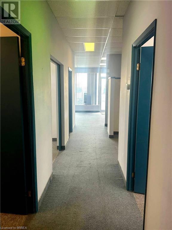 86 Mall Road, Hamilton, Ontario  L8V 5B5 - Photo 11 - 40673290