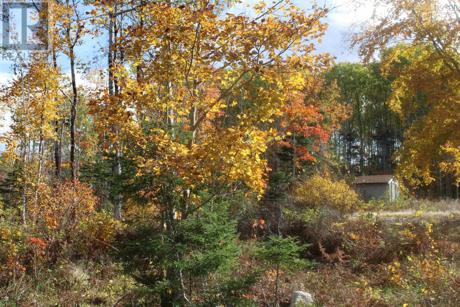 259 Bill Berry Road, Princedale, Nova Scotia  B0S 1G0 - Photo 12 - 202425828