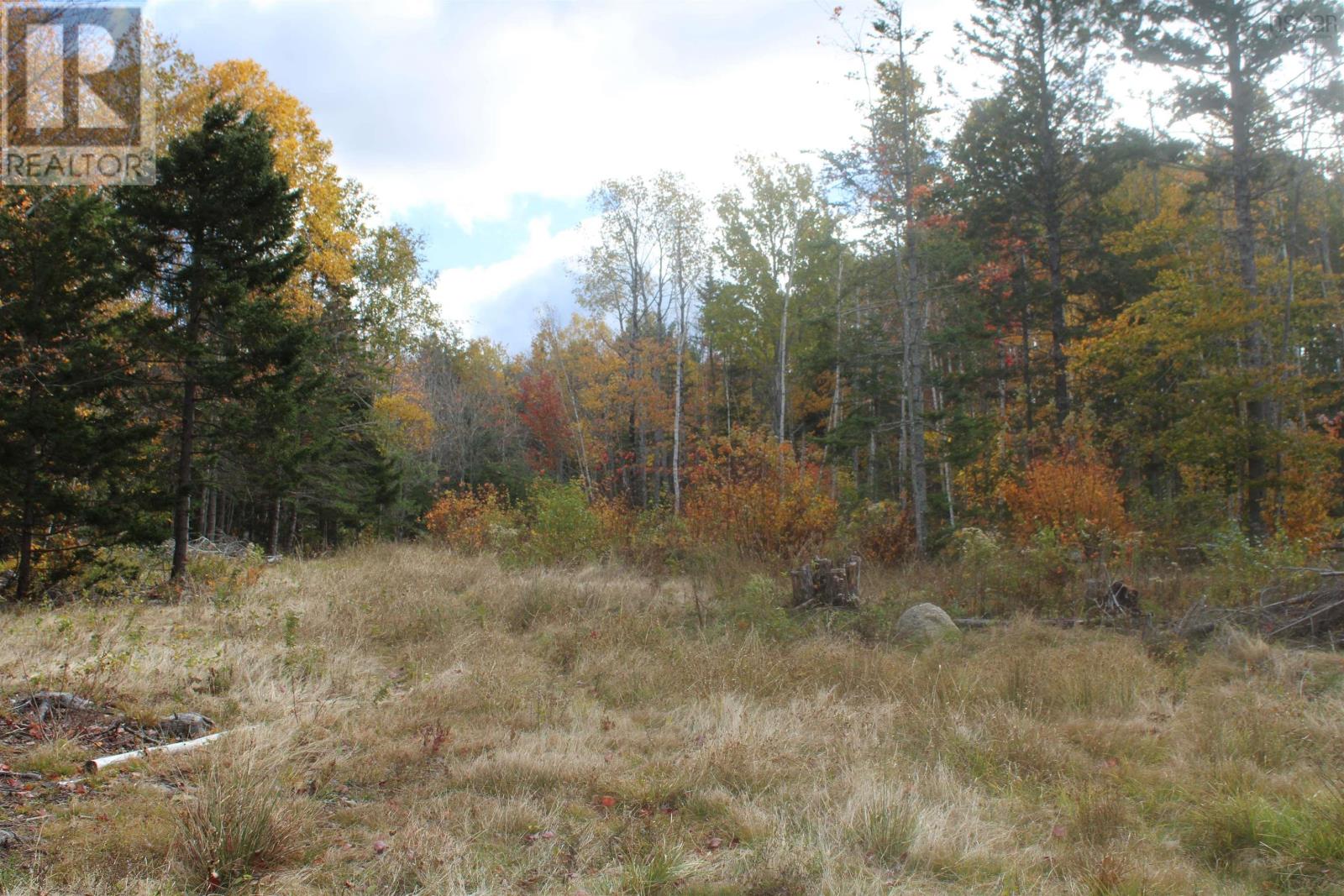 259 Bill Berry Road, Princedale, Nova Scotia  B0S 1G0 - Photo 14 - 202425828
