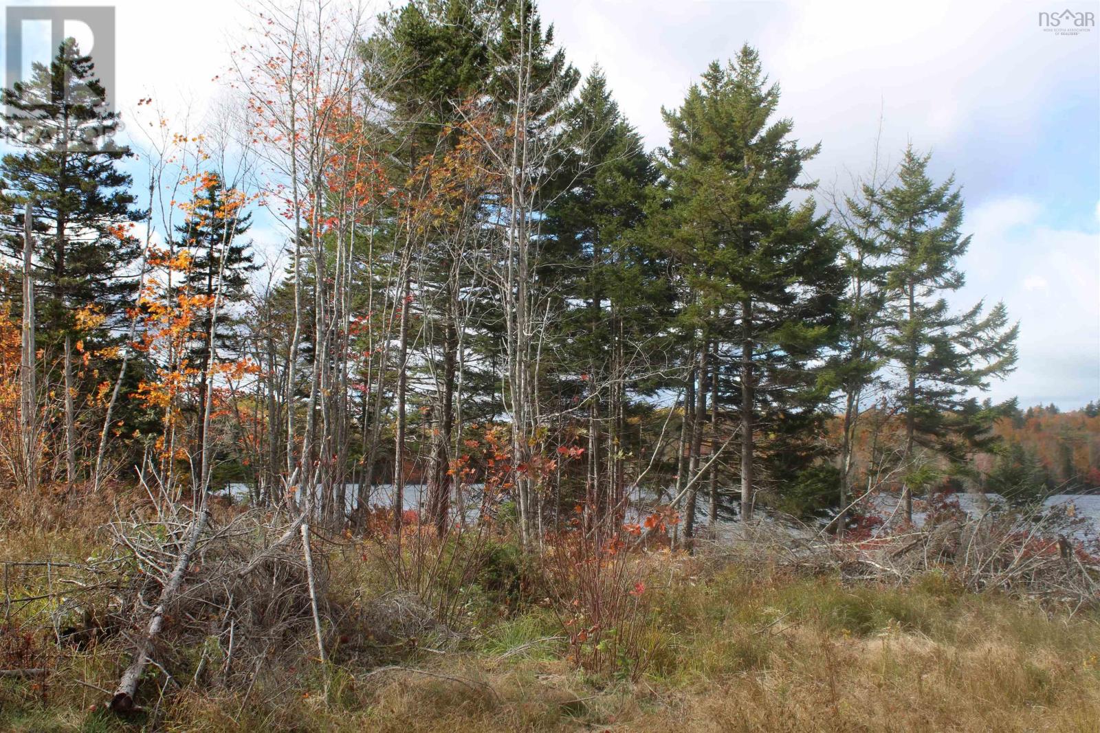 259 Bill Berry Road, Princedale, Nova Scotia  B0S 1G0 - Photo 16 - 202425828