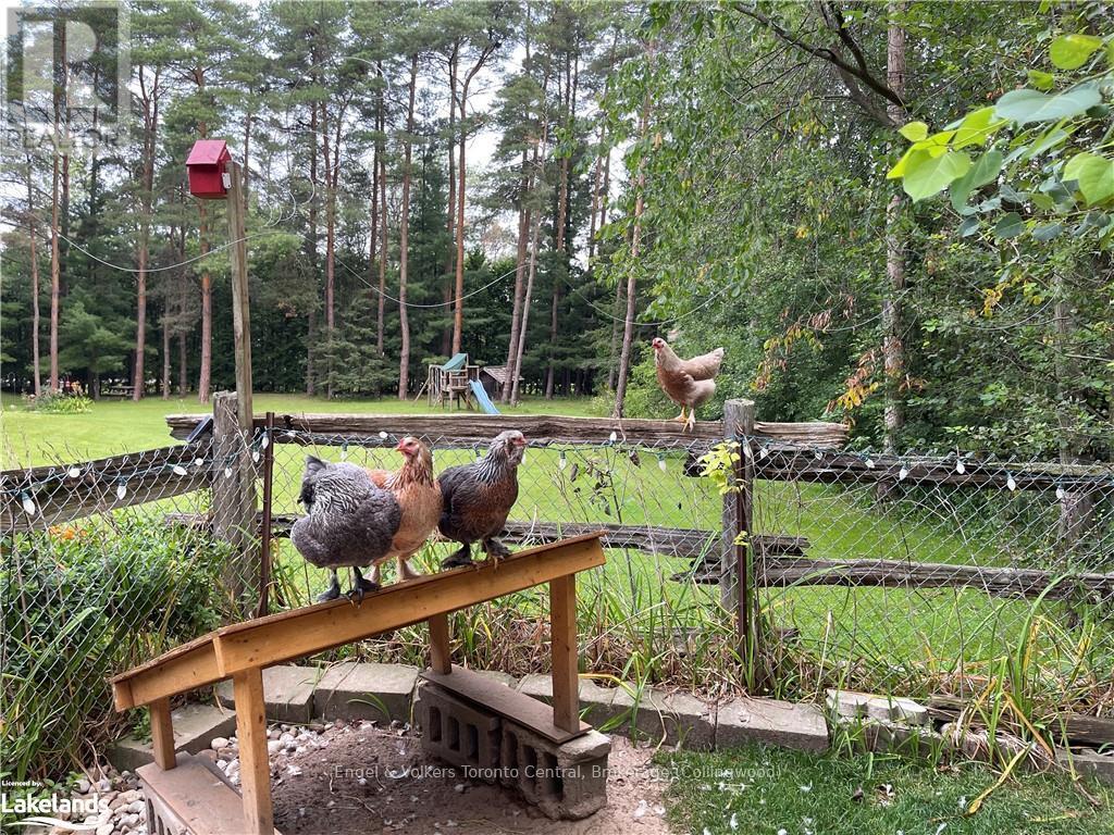 7253 36/37 Nottawasaga Sideroad Side Road, Clearview, Ontario  L0M 1P0 - Photo 32 - S10437055