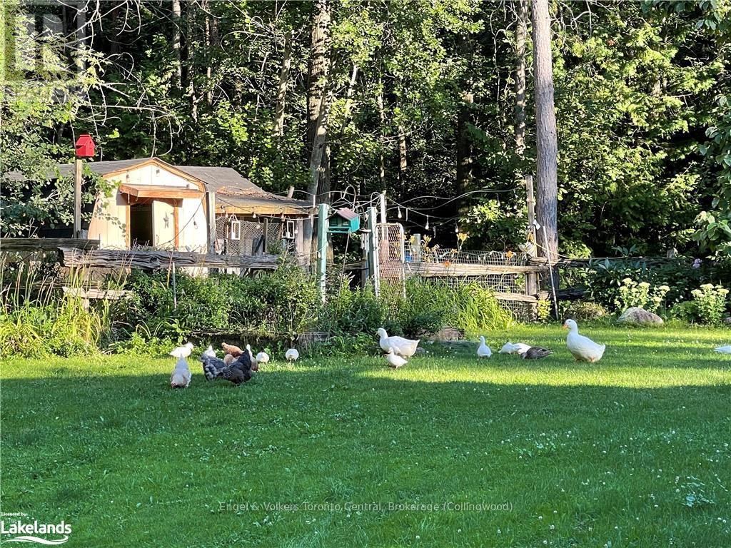 7253 36/37 Nottawasaga Sideroad Side Road, Clearview, Ontario  L0M 1P0 - Photo 34 - S10437055