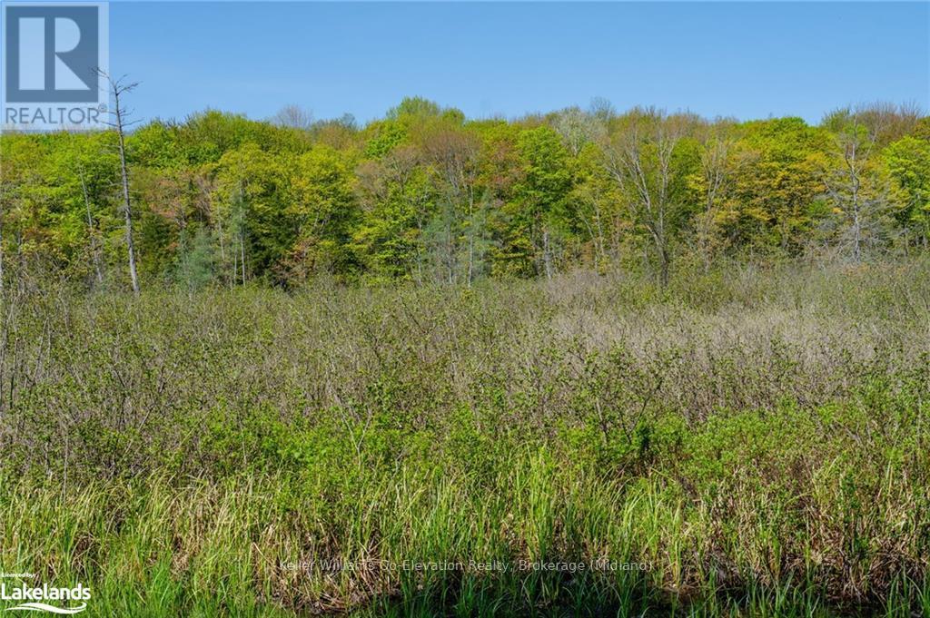 1020 Frau Lane, Bracebridge, Ontario  P1L 1X3 - Photo 26 - X10438735