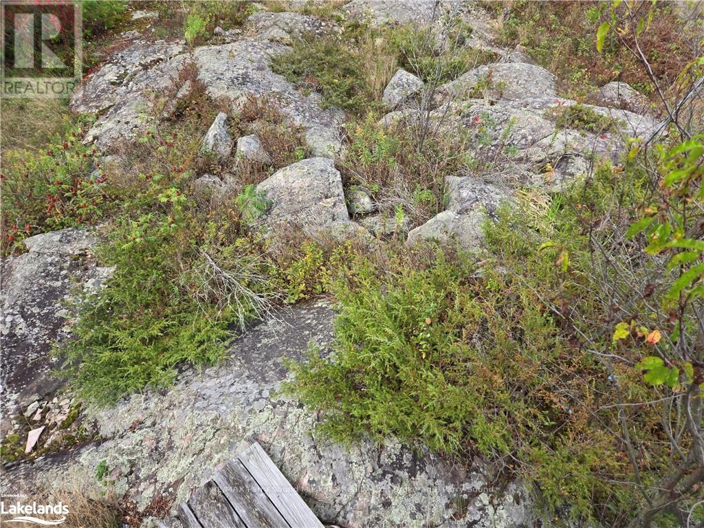 11 Rosedale Road Road, Parry Sound Remote Area, Ontario  P0G 1B0 - Photo 20 - X10437184