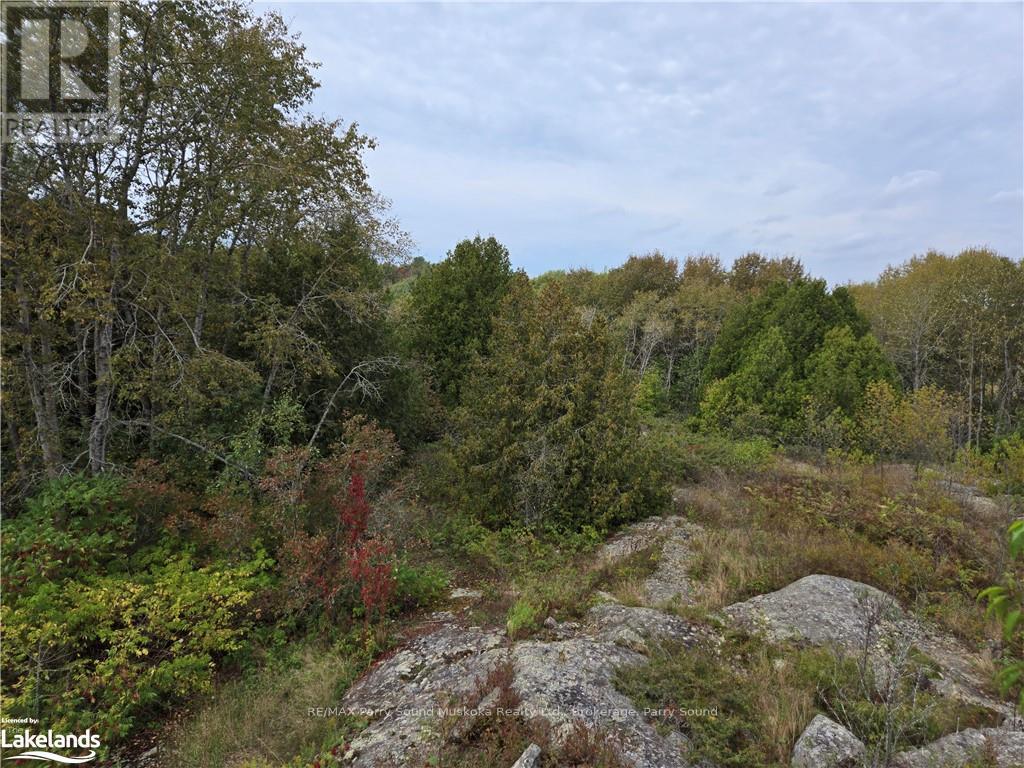 11 Rosedale Road Road, Parry Sound Remote Area, Ontario  P0G 1B0 - Photo 21 - X10437184