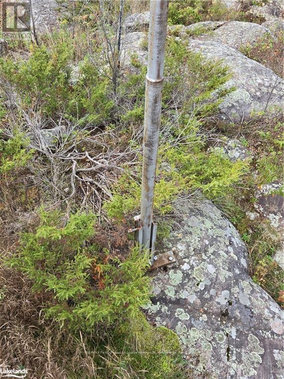 11 Rosedale Road Road, Parry Sound Remote Area, Ontario  P0G 1B0 - Photo 23 - X10437184