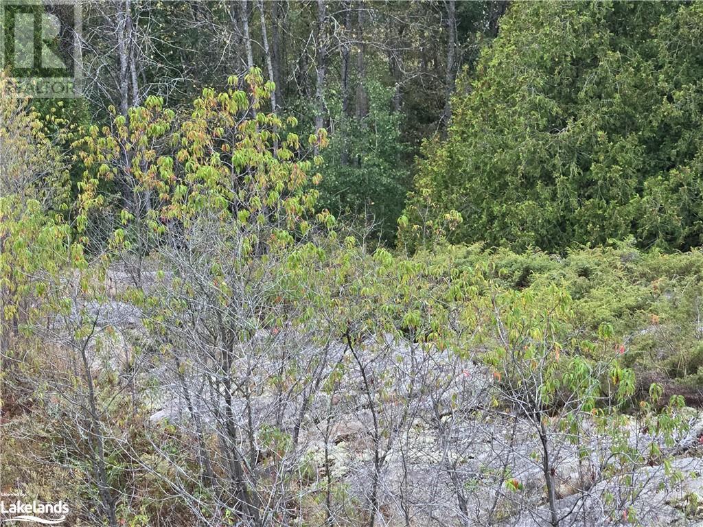 11 Rosedale Road Road, Parry Sound Remote Area, Ontario  P0G 1B0 - Photo 36 - X10437184
