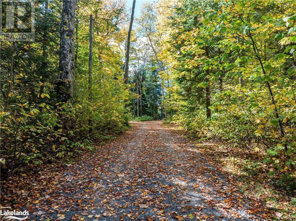 1226 Dignan Road, Dysart Et Al, Ontario  K0M 1S0 - Photo 39 - X10435015
