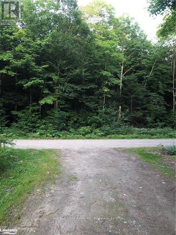 1898 Axe Lake Road, Mcmurrich/monteith, Ontario  P0A 1Y0 - Photo 15 - X11822756