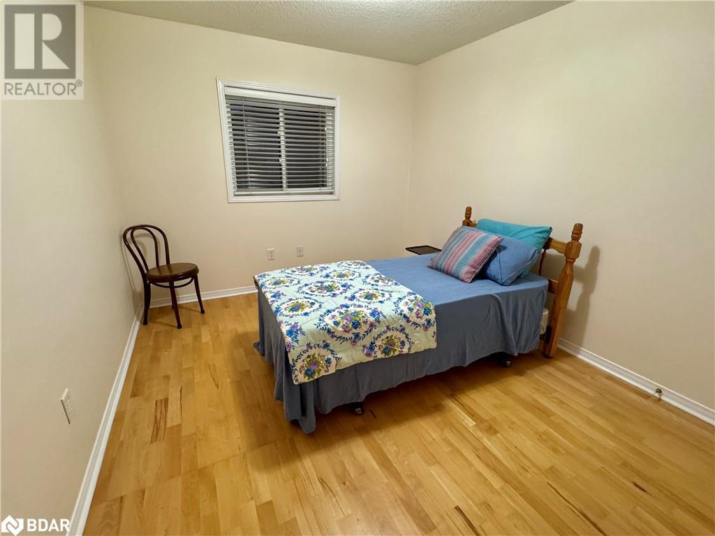 119 Livingstone Street E, Barrie, Ontario  L4M 6X5 - Photo 19 - 40684172