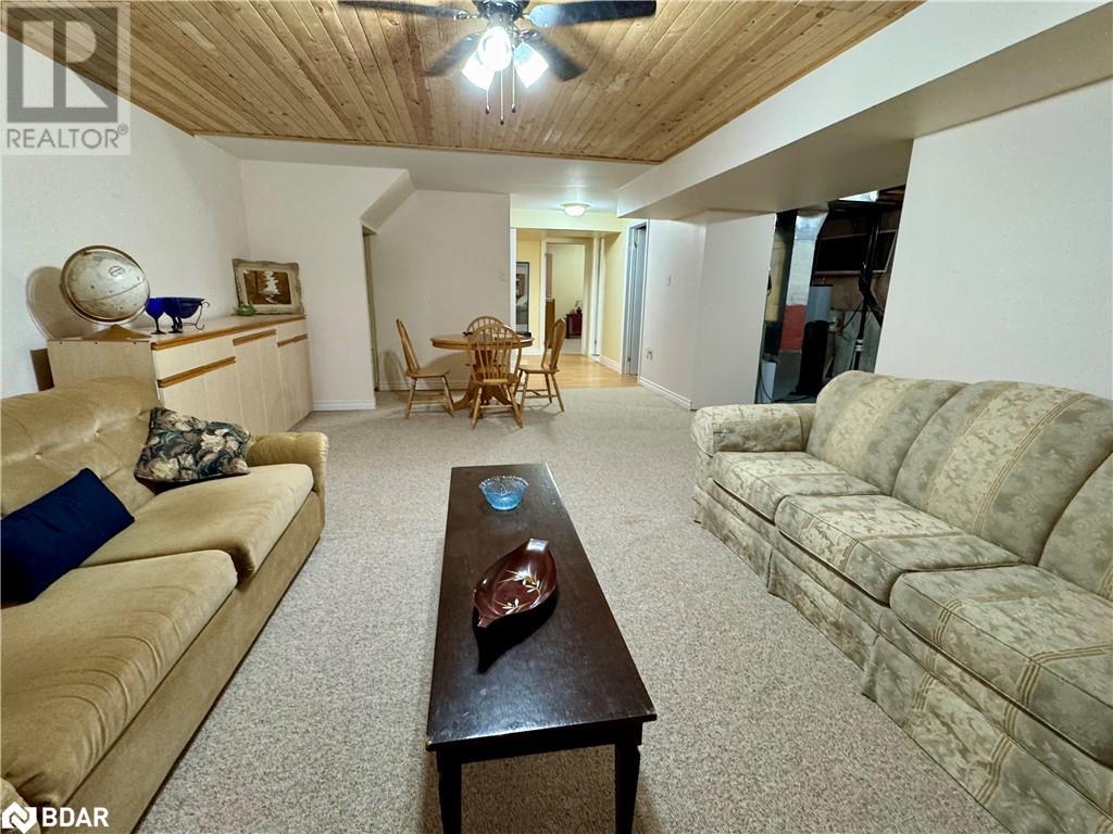 119 Livingstone Street E, Barrie, Ontario  L4M 6X5 - Photo 22 - 40684172