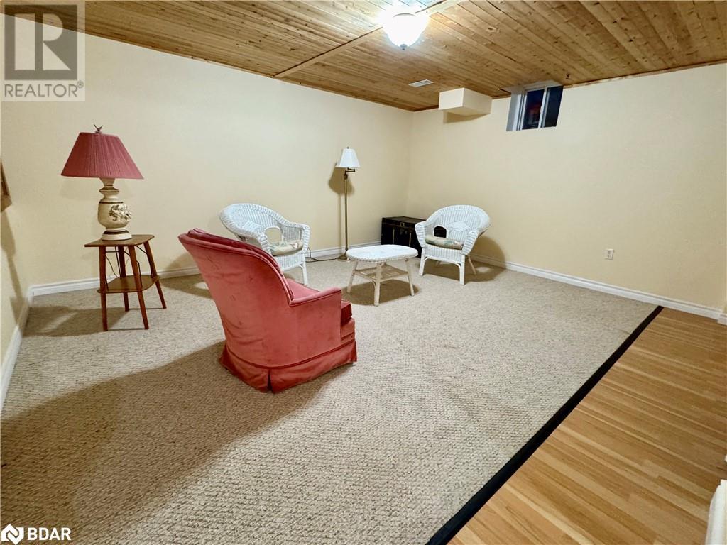 119 Livingstone Street E, Barrie, Ontario  L4M 6X5 - Photo 29 - 40684172