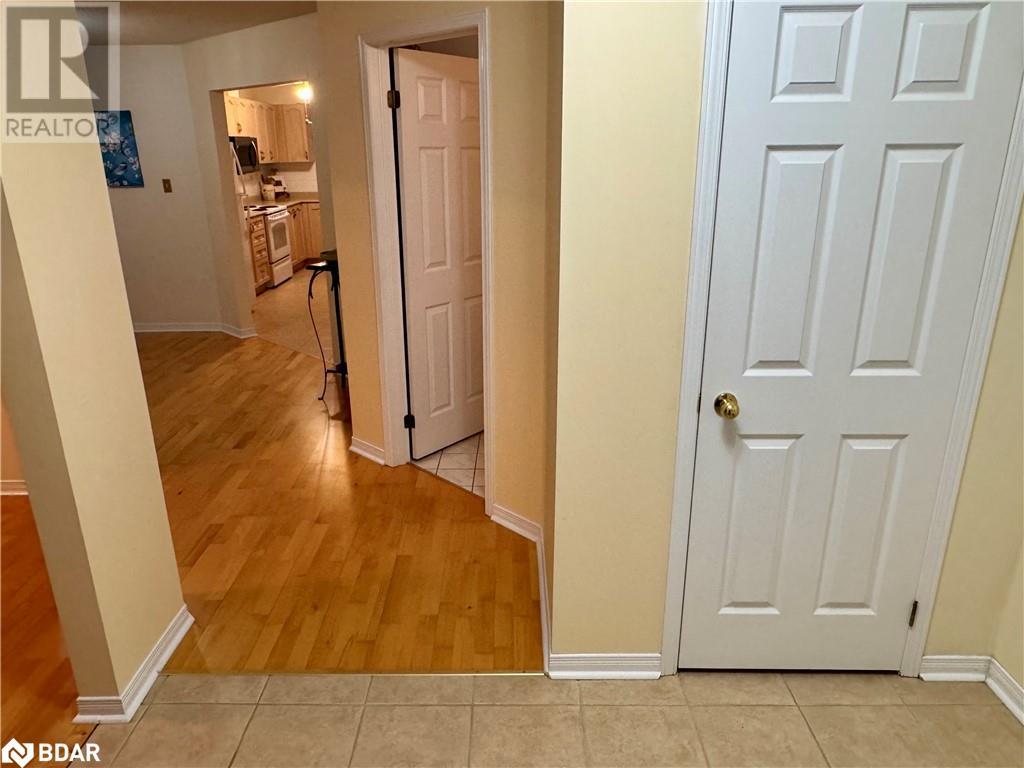 119 Livingstone Street E, Barrie, Ontario  L4M 6X5 - Photo 3 - 40684172