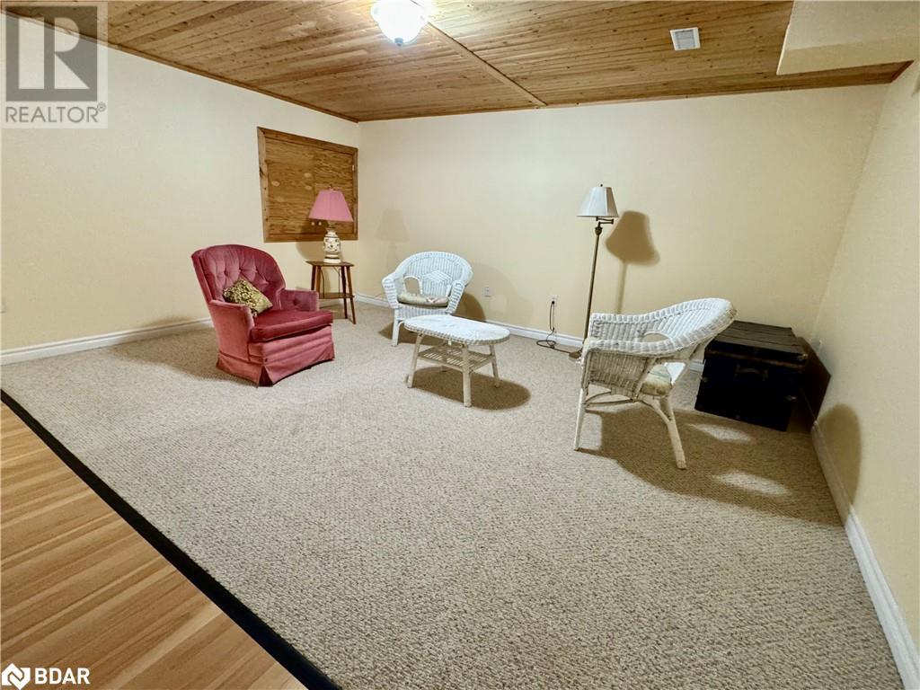 119 Livingstone Street E, Barrie, Ontario  L4M 6X5 - Photo 30 - 40684172