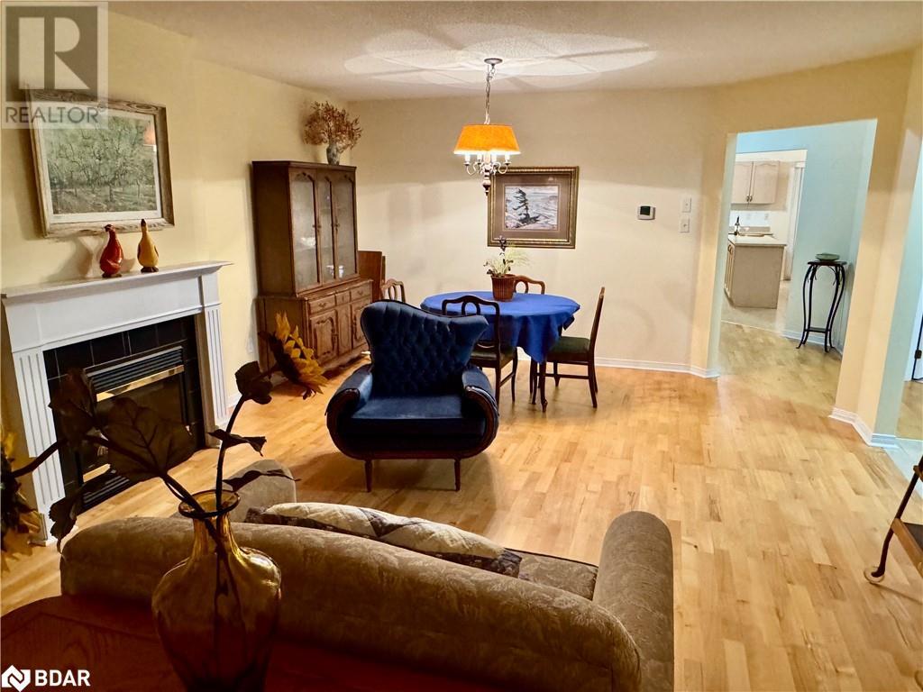 119 Livingstone Street E, Barrie, Ontario  L4M 6X5 - Photo 5 - 40684172