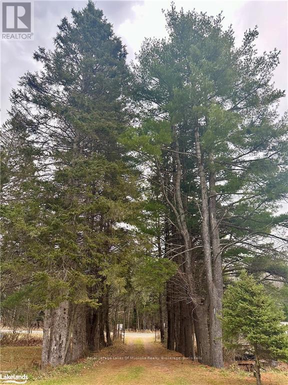 112 Highway 510, Magnetawan, Ontario  P0A 1P0 - Photo 22 - X11823187