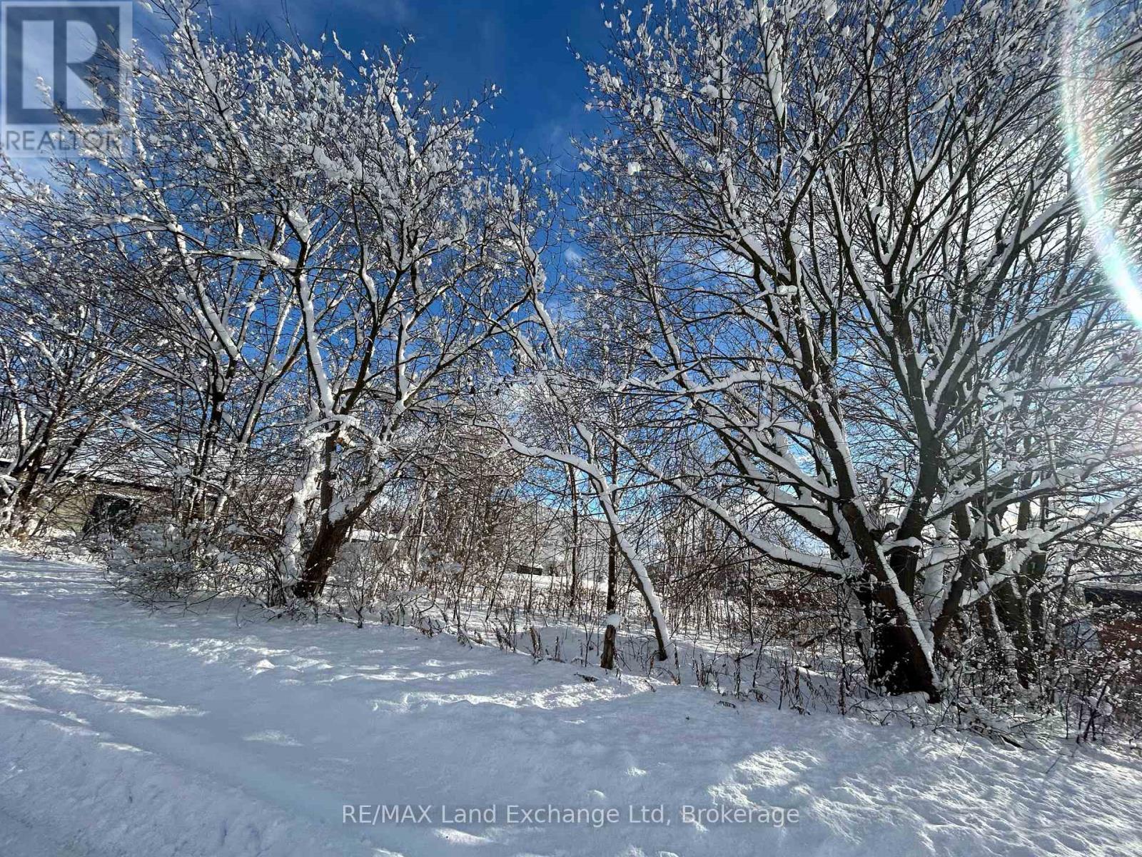 17 Albert Street, North Huron, Ontario  N0G 2W0 - Photo 3 - X11887096