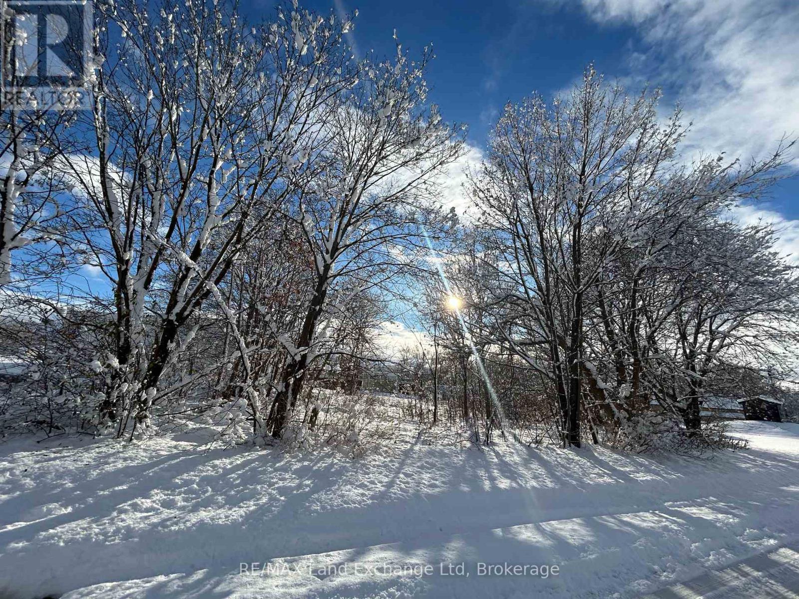 17 Albert Street, North Huron, Ontario  N0G 2W0 - Photo 4 - X11887096