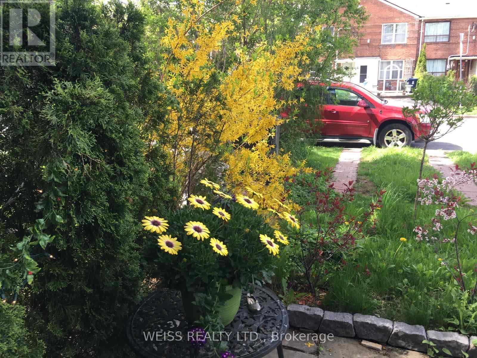 3 Khedive Avenue, Toronto (Englemount-Lawrence), Ontario  M6A 2G1 - Photo 7 - C11887083