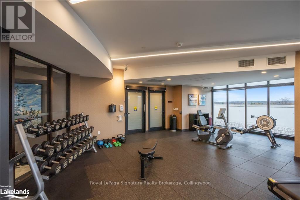 318 - 1 Hume Street, Collingwood, Ontario  L9Y 0X3 - Photo 23 - S11823074