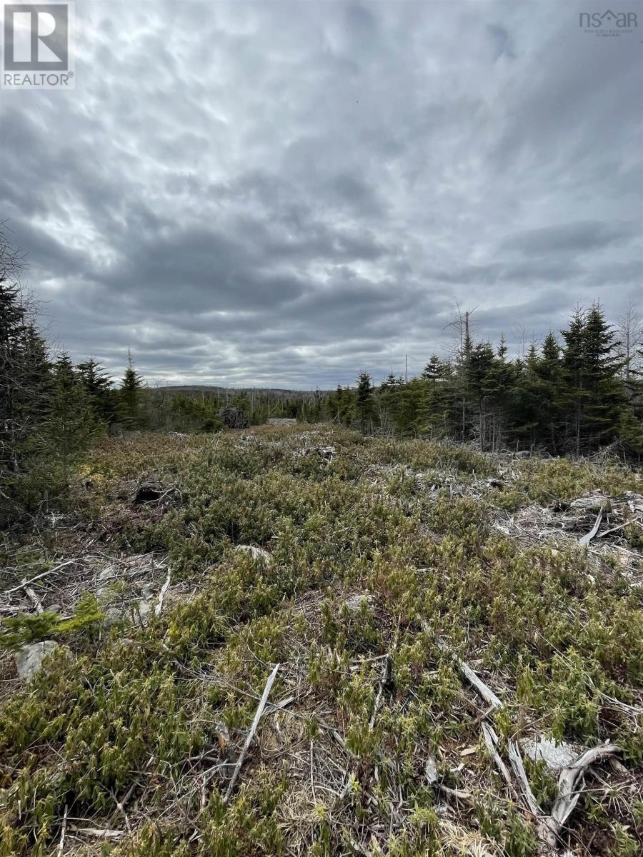 143 19 Lipkudamoonk Path, Clam Bay, Nova Scotia  B0J 1Y0 - Photo 4 - 202428060