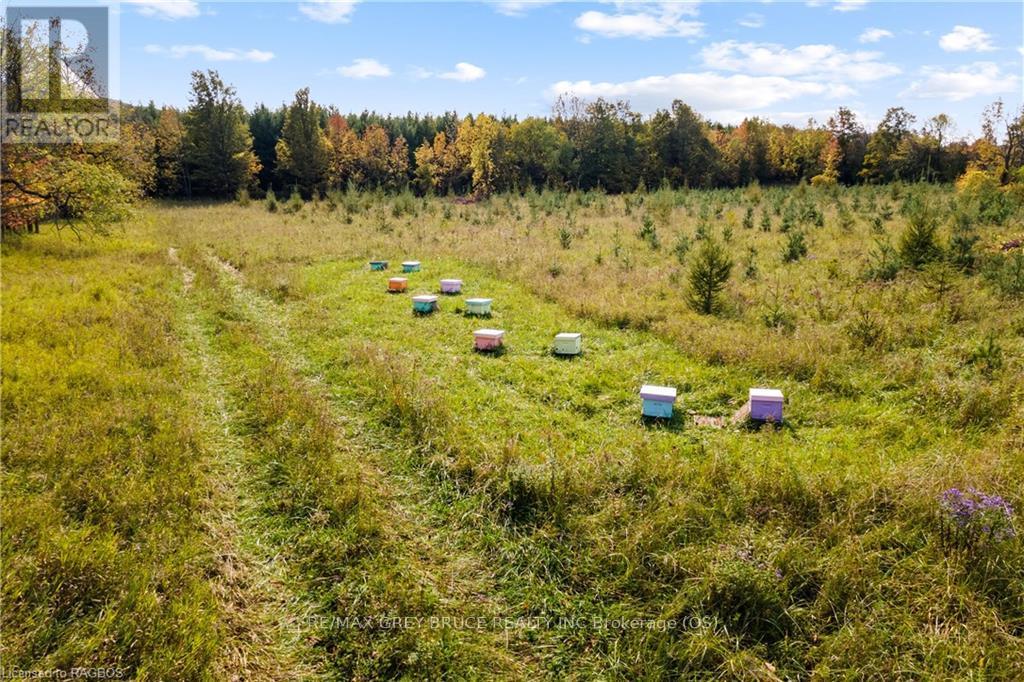 3476 Garden Of Eden Road, Clearview, Ontario  L0M 1G0 - Photo 18 - S11879920