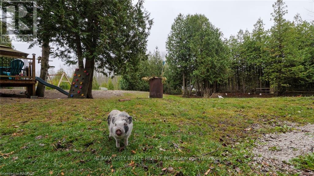 26 Mary Avenue, South Bruce Peninsula, Ontario  N0H 2T0 - Photo 29 - X11822737