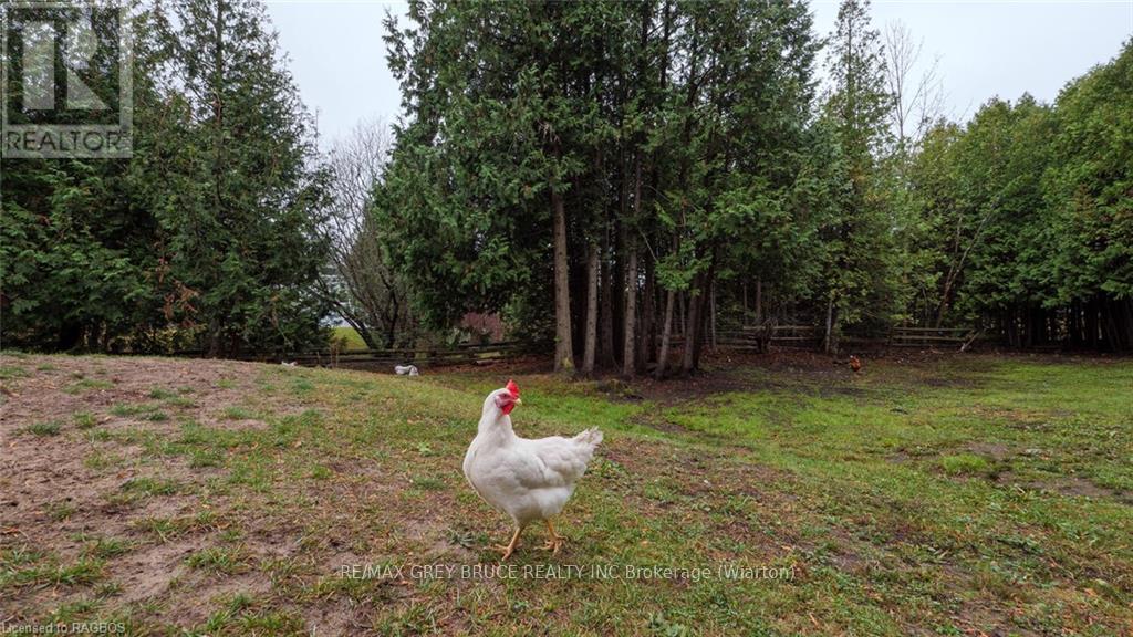 26 Mary Avenue, South Bruce Peninsula, Ontario  N0H 2T0 - Photo 31 - X11822737