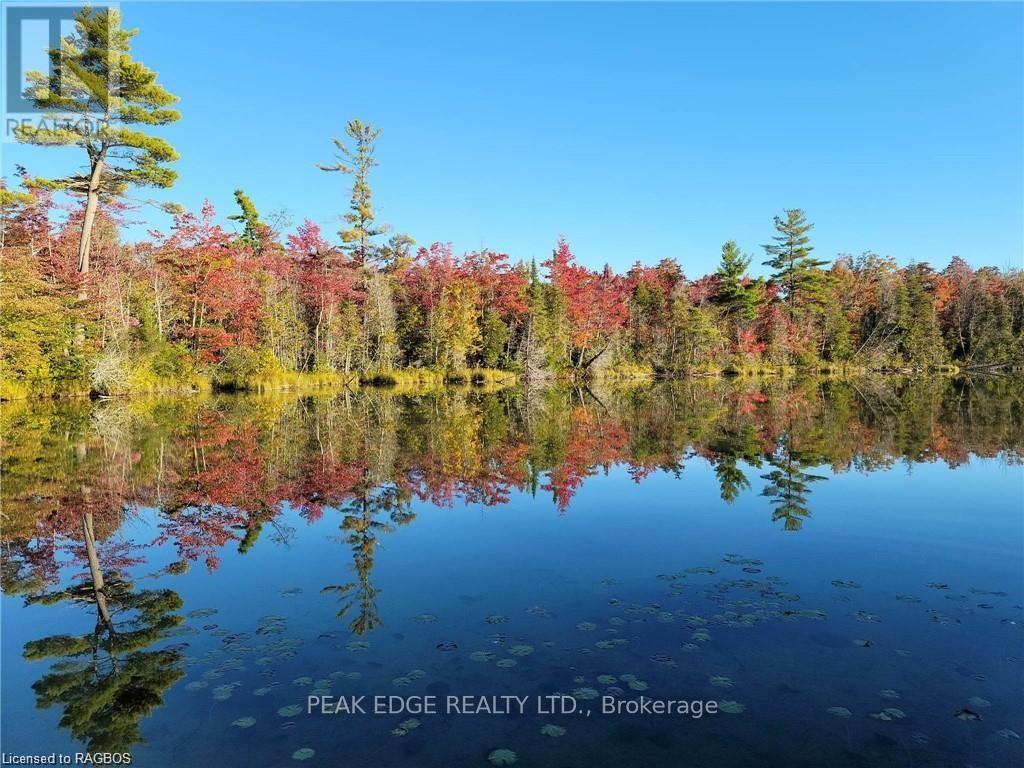 126 Forest Creek Trail, West Grey, Ontario  N0G 1S0 - Photo 36 - X11822745