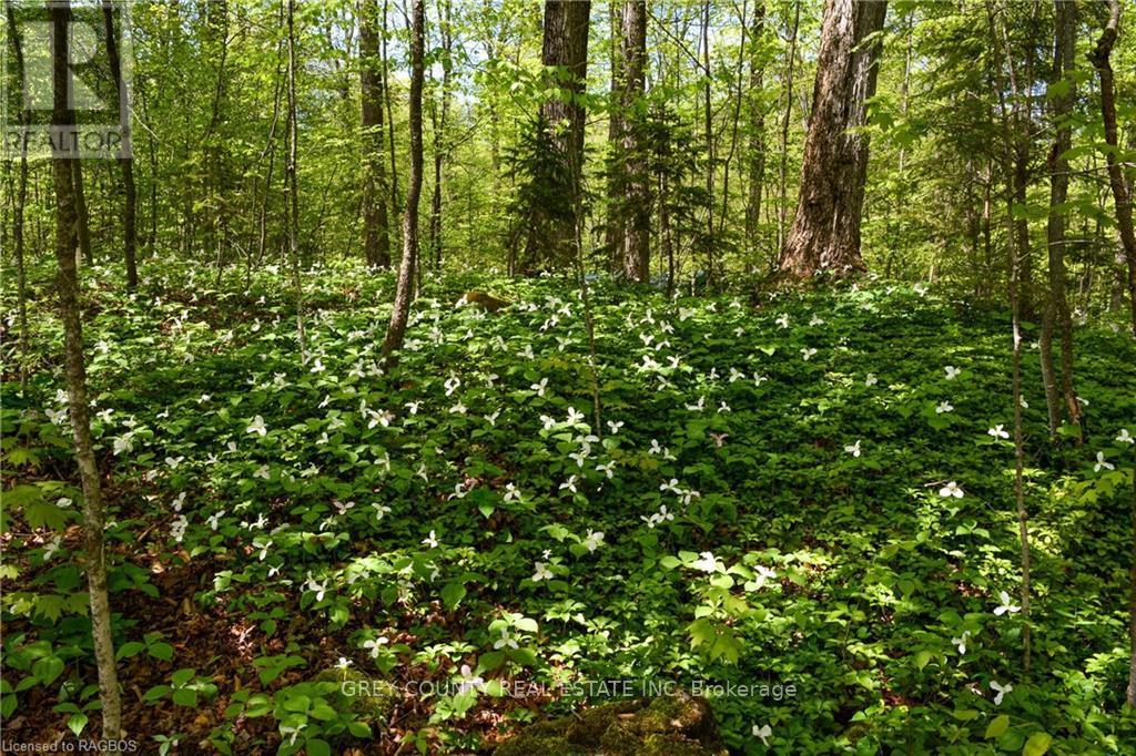 583301 60 Side Road, Chatsworth, Ontario  N0H 2V0 - Photo 21 - X11823095