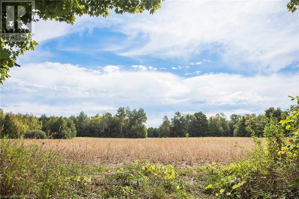 Pl11-12 Side Road 10, Chatsworth, Ontario  N0H 1R0 - Photo 10 - X11887305