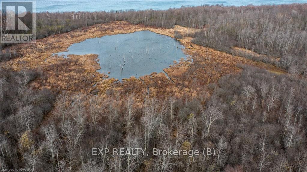 423033 Harbour Drive, Meaford, Ontario  N0H 1B0 - Photo 34 - X11887306