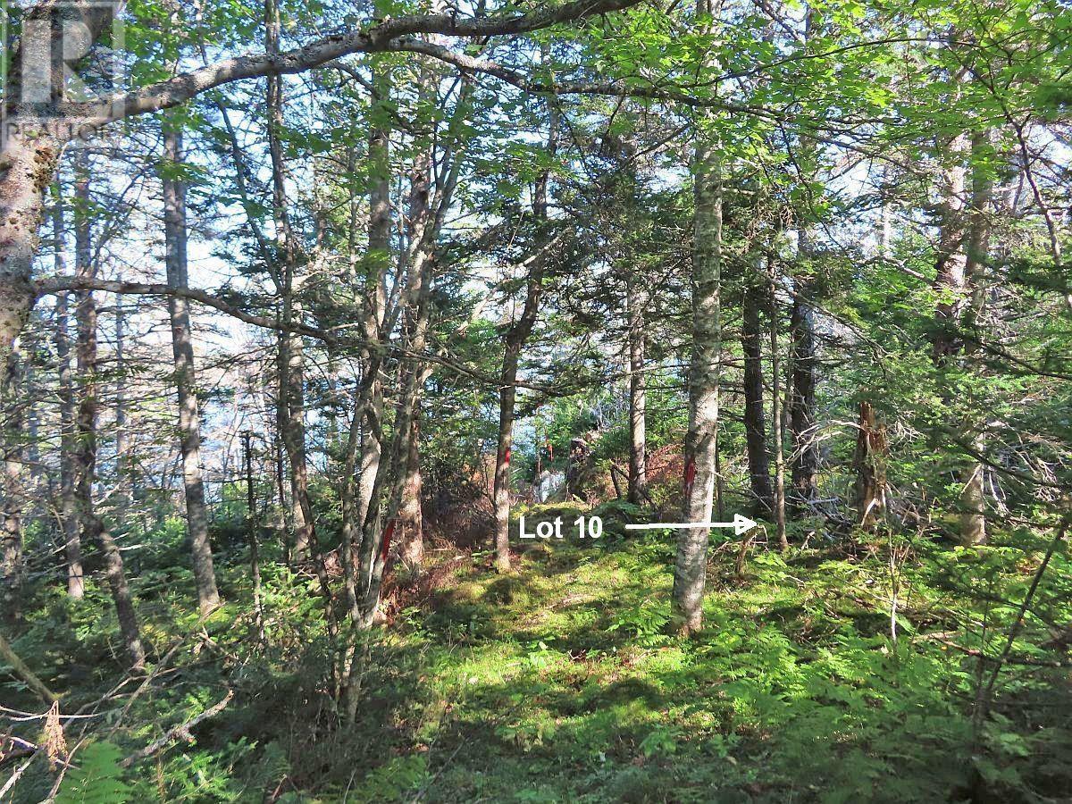 Lot 10 Hwy 316 (Grovers Point), Cole Harbour, Nova Scotia  B0H 1T0 - Photo 26 - 202428068