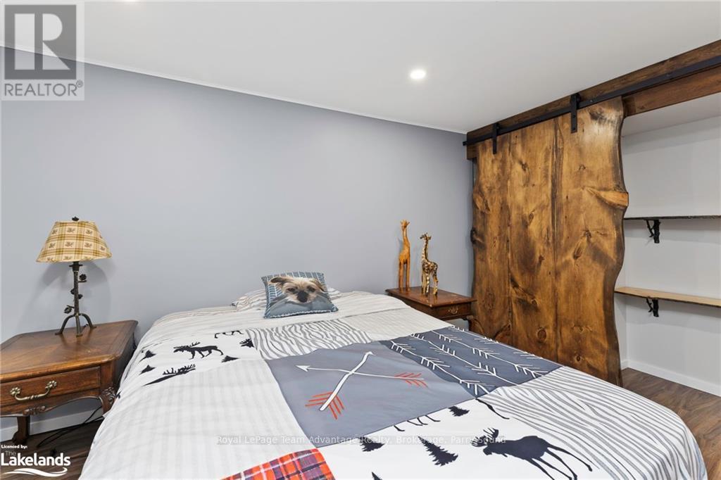 18 Sandy Plains Road S, Seguin, Ontario  P2A 2W8 - Photo 18 - X10440293