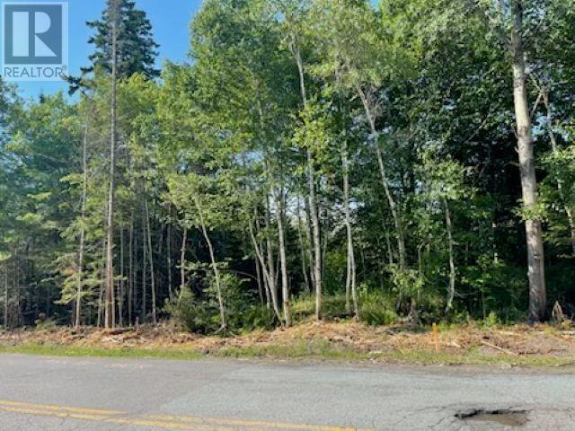 Lot A North River Road, Aylesford Lake, Nova Scotia  B0P 1C0 - Photo 1 - 202416184