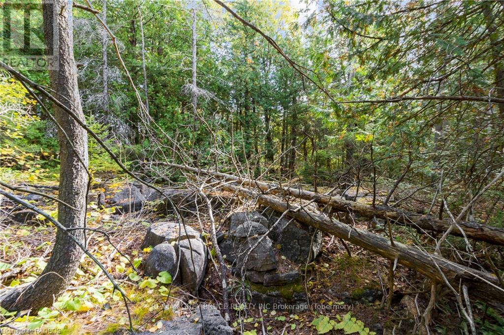 Pt Lt 4 Nicholas Street, Northern Bruce Peninsula, Ontario  N0H 2R0 - Photo 20 - X10846869