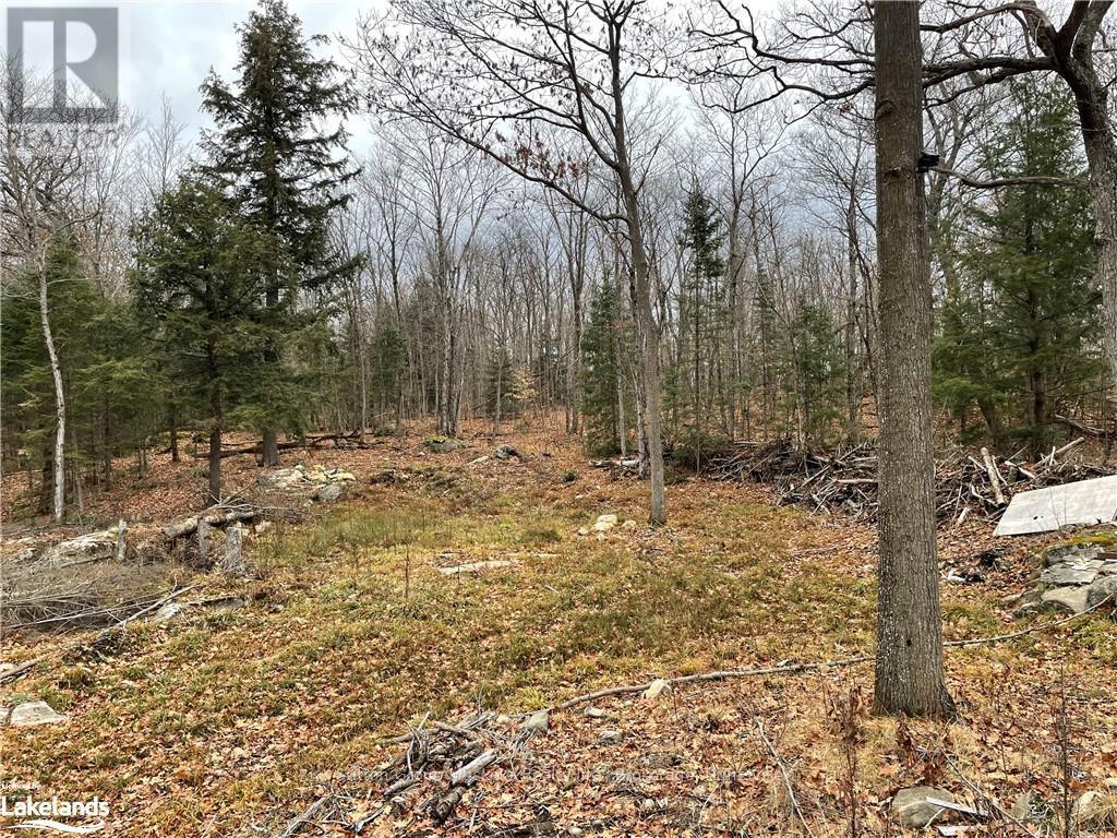 48 Spring Hill Rd, Mckellar, Ontario  P0G 1C0 - Photo 9 - X11823002