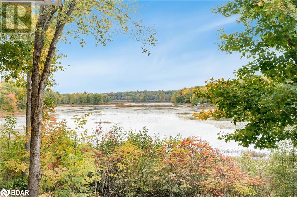 1472 Otter Point Road, Coldwater, Ontario  L0K 1E0 - Photo 21 - 40677509