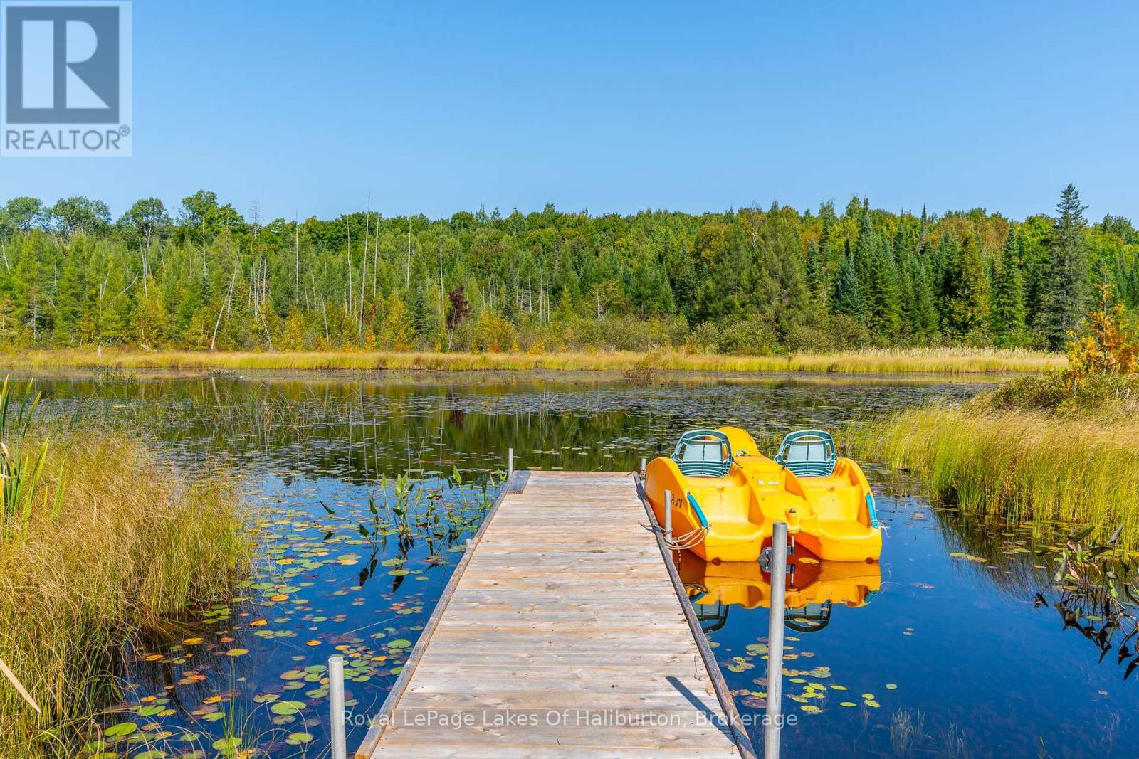 2825 Ib & O Rail Trail, Highlands East, Ontario  K0L 2Y0 - Photo 5 - X11887965