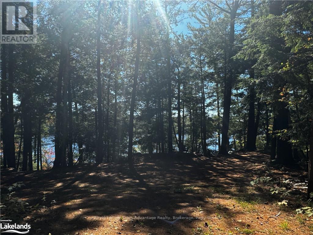 81 Amorak Trail, Whitestone, Ontario  P0A 1G0 - Photo 27 - X10438383