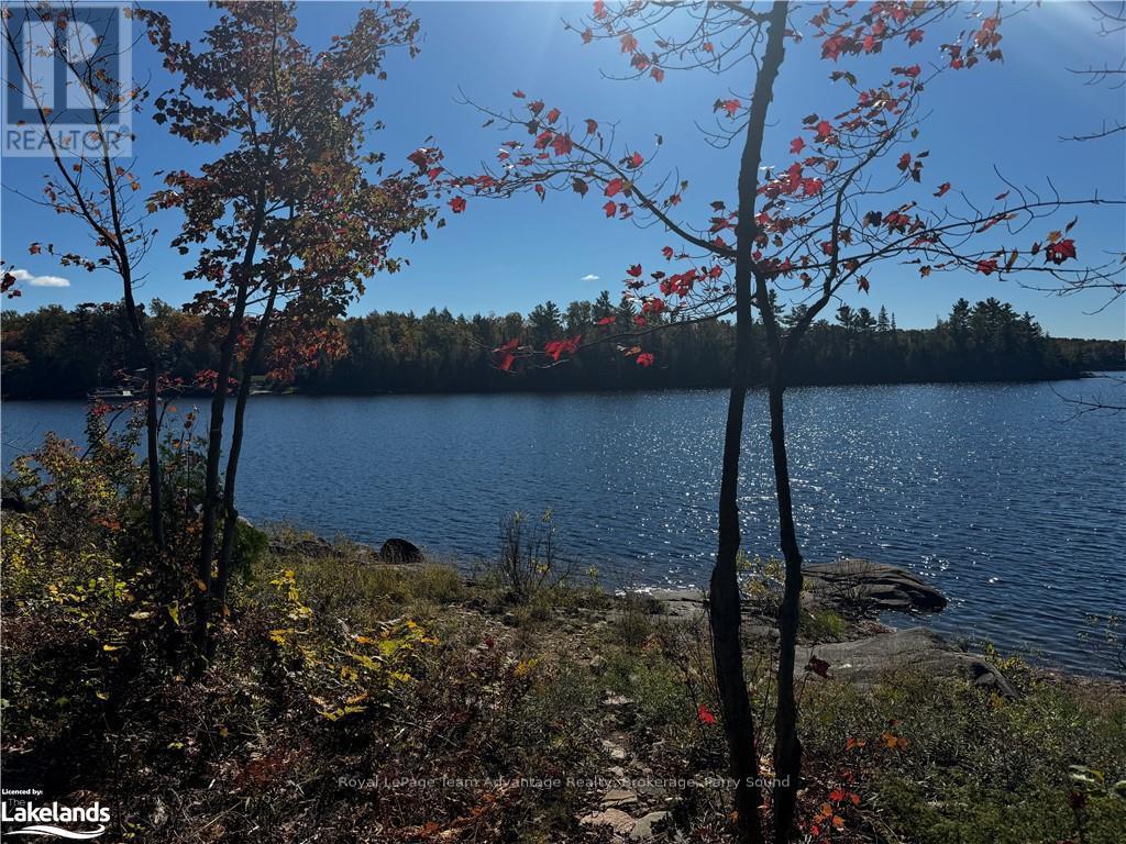 81 Amorak Trail, Whitestone, Ontario  P0A 1G0 - Photo 29 - X10438383