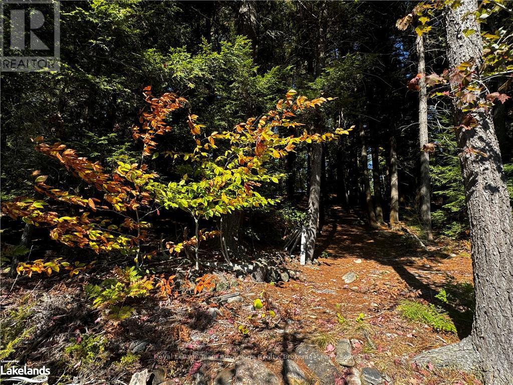 81 Amorak Trail, Whitestone, Ontario  P0A 1G0 - Photo 36 - X10438383