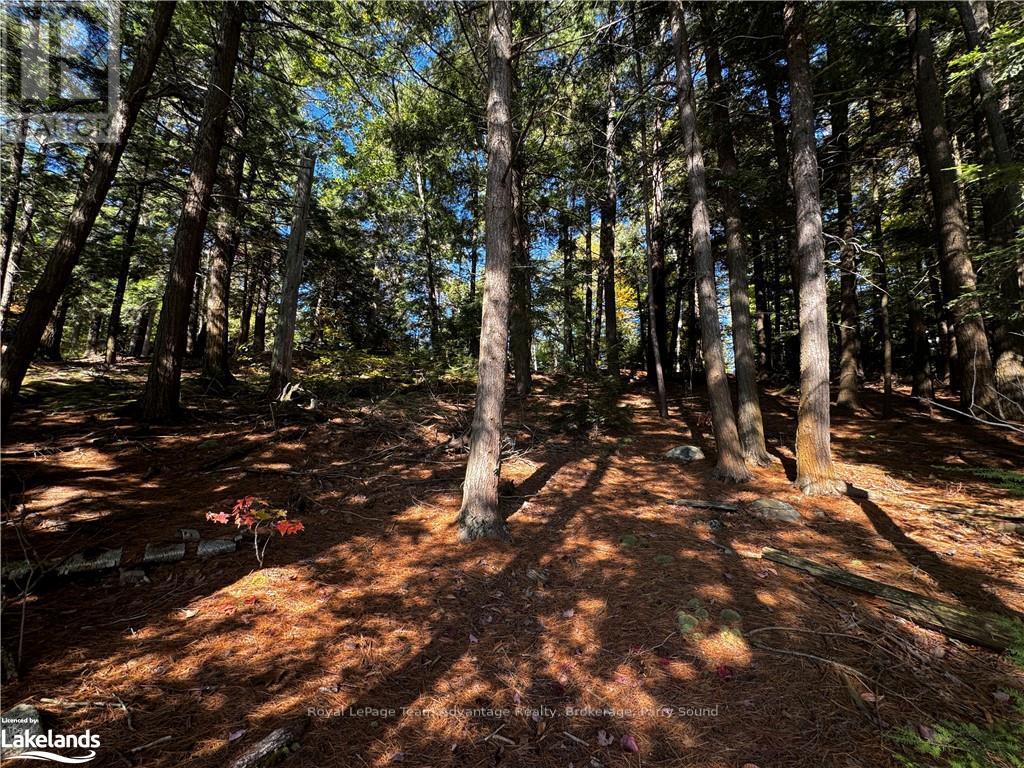 81 Amorak Trail, Whitestone, Ontario  P0A 1G0 - Photo 38 - X10438383