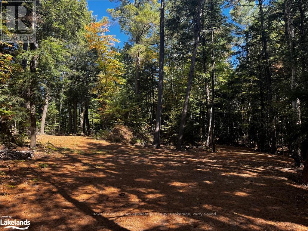 81 Amorak Trail, Whitestone, Ontario  P0A 1G0 - Photo 40 - X10438383