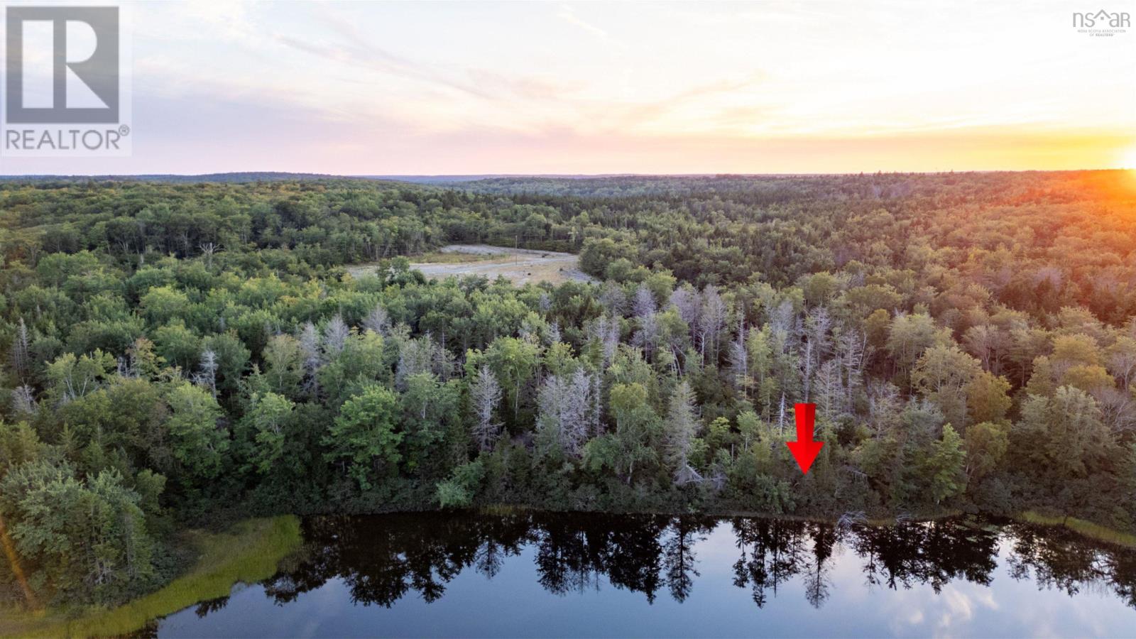 Lot 8 R & N Road, Carleton, Nova Scotia  B5A 5R2 - Photo 6 - 202426882