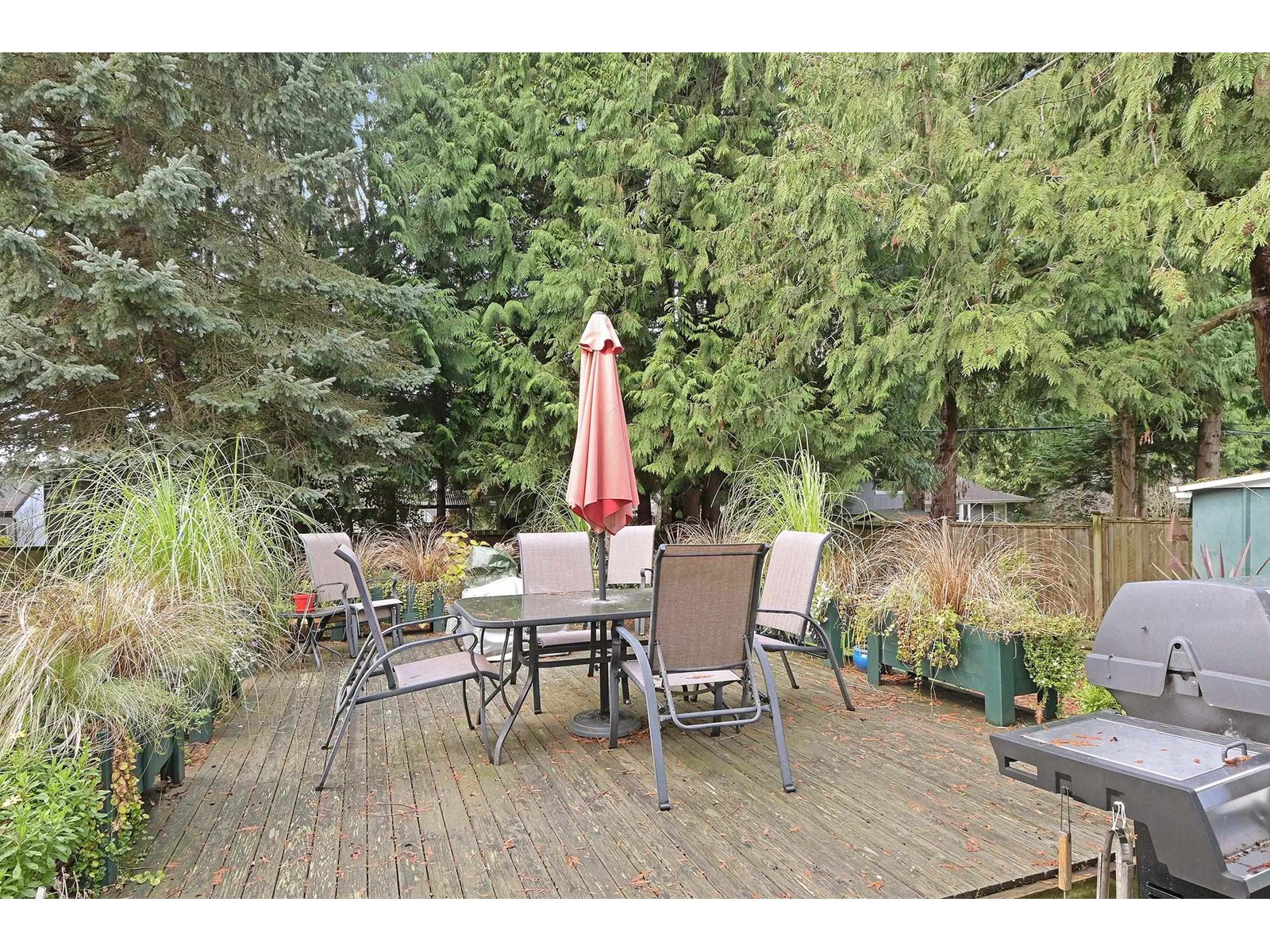 1941 127a Street, Surrey, British Columbia  V4A 3S8 - Photo 26 - R2949035