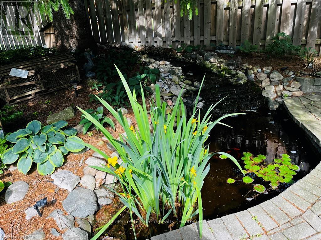 24575 Saxton Road, Strathroy-Caradoc, Ontario  N7G 3H4 - Photo 21 - X10779864