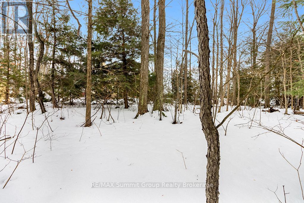 202 Lakeshore Boulevard, Grey Highlands, Ontario  N0C 1E0 - Photo 10 - X11888438