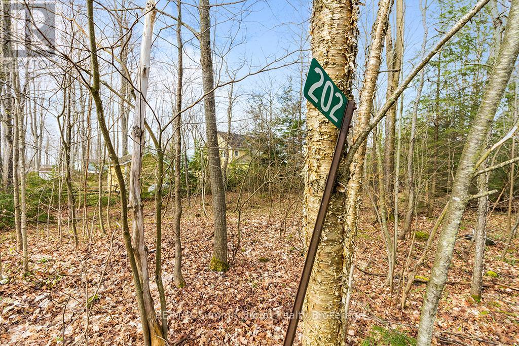 202 Lakeshore Boulevard, Grey Highlands, Ontario  N0C 1E0 - Photo 11 - X11888438